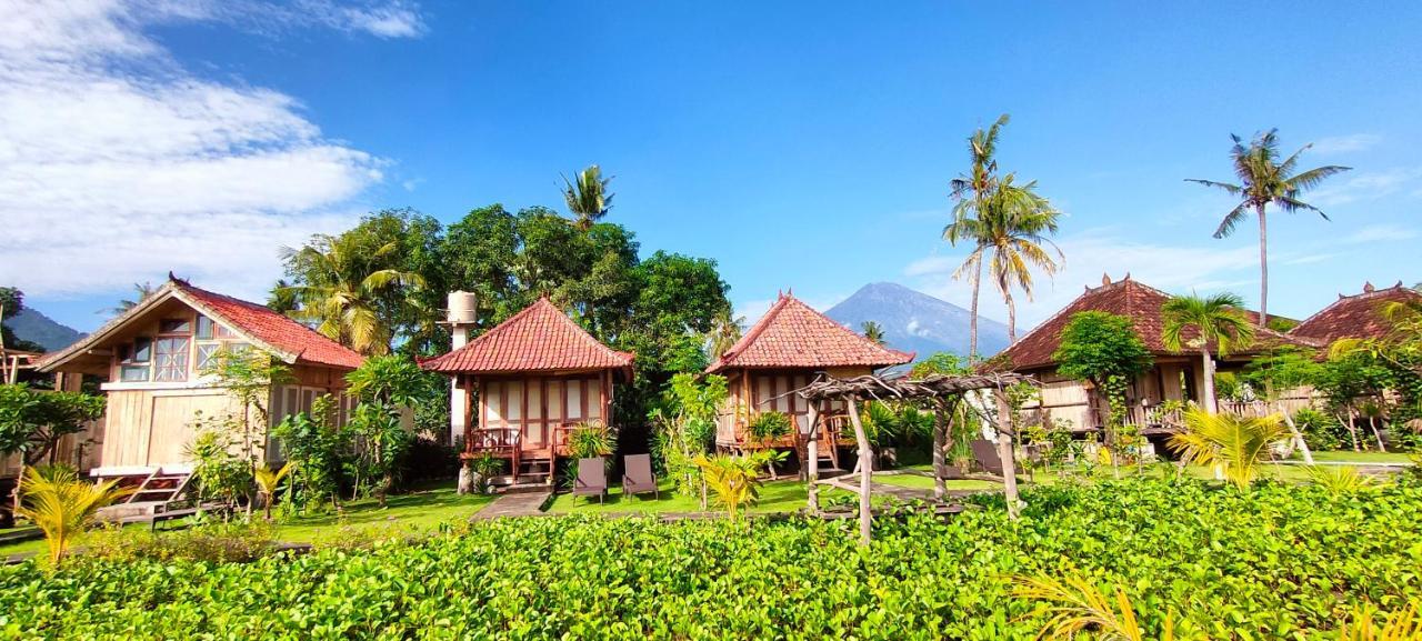 Yogi Beach Cabin Amed Eksteriør bilde